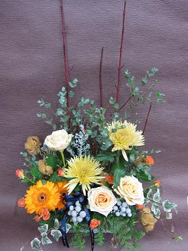 img_1363 img_1363