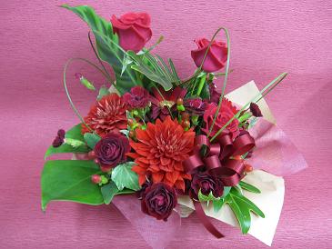 img_1376 img_1376