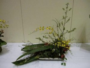 img_1711 img_1711