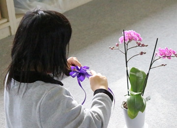 hanaiku img06