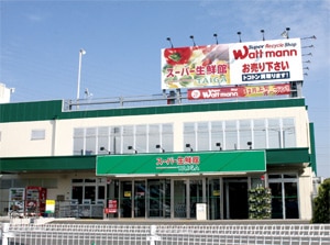 taiga ishikawa 3