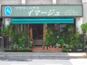 shop01 3