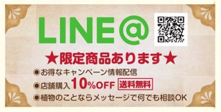 4/8~5/6迄、店舗は臨時休業しております。オンラインからご注文頂けます! 1 attachment01