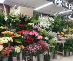 motomachi img