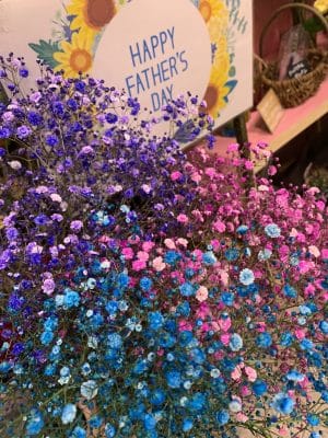 季節のお花が多数入荷!明日は父の日☆ 1 IMG 1254