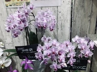 9D907CA0 AB38 49FD 81F6 5DBC0F737714