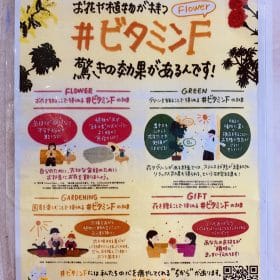 明日はお花の入荷日!お花のあるステイホーム期間に…☆ 1 IMG 1409