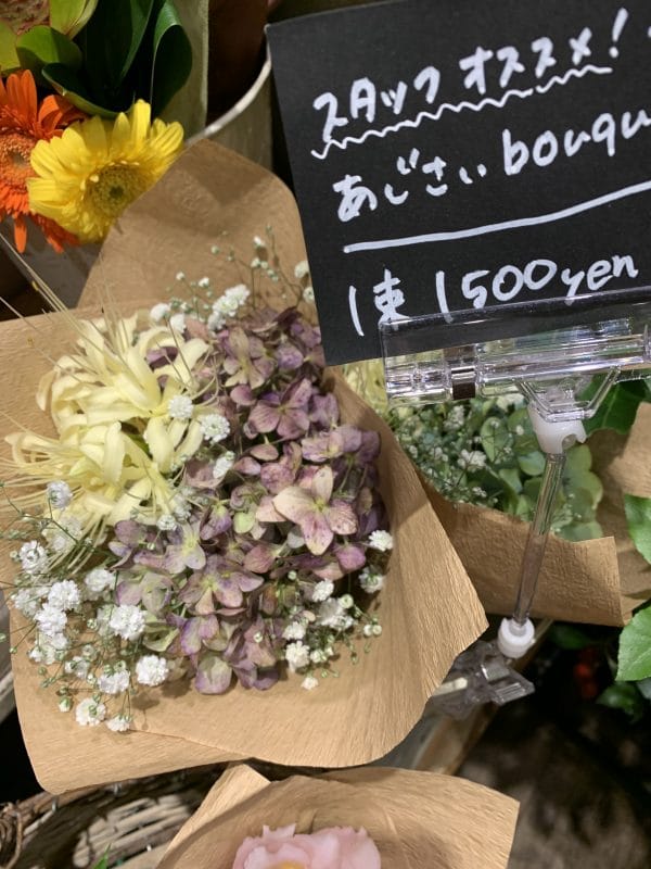 紫陽花入荷してます! 1 9107E2A1 DA04 4EDE B007 024284B482BF