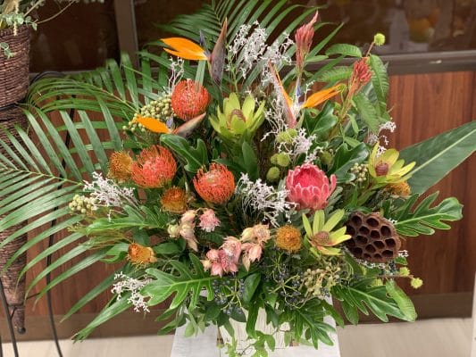 魅力的!ネイティブフラワー 2 C45A415A DCBC 4BCB BFC9 6C7F31AC0388