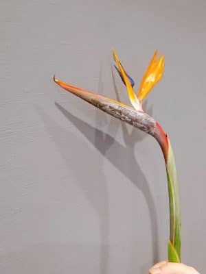 2020 10 24 20 45 15 280