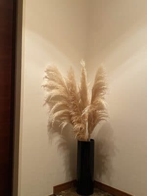 お花は添えるものでもあります 1 5D05C230 327A 454F B924 12199C3AF361