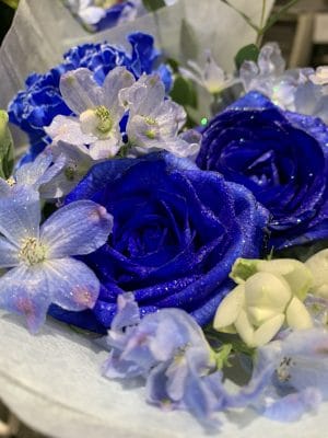 BB0A4668 254B 4CB5 BBCC C5D548AD1C93