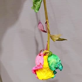 2020 11 11 19 37 59 272