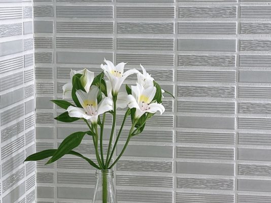 コスパ最強のお花! 1 06F42DF3 BB44 44A5 BEB4 739D4D428590
