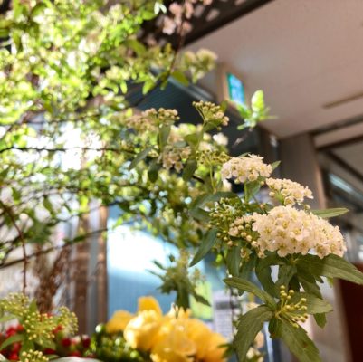 春到来を感じさせるお花 3 0E218DAF BB7B 4560 BA71 243327128CB8