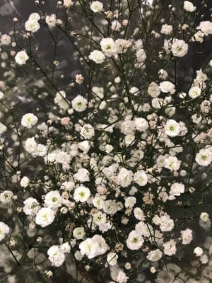 愛妻の日に贈るお花 2 91BA6D44 2DE8 4B28 8F7B FF16213AA458