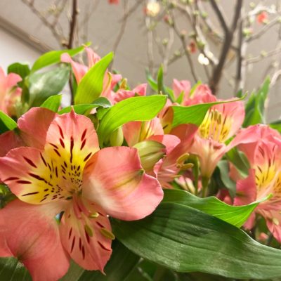 コスパ最強のお花! 3 B6103D2D 84B0 4AEB B097 7BAE6E09ACB0