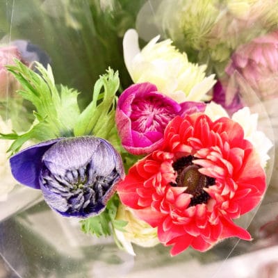 春のお花続々入荷! 2 C3C90901 18F6 4E5D B10D 14D654BABB84