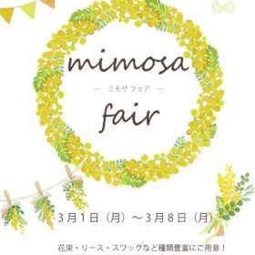 【3/1~3/8】ジェルフラワー全店で"ミモザフェア"開催します! 1 1b1e21f5d6ba66e7b2c9c46a9903165e