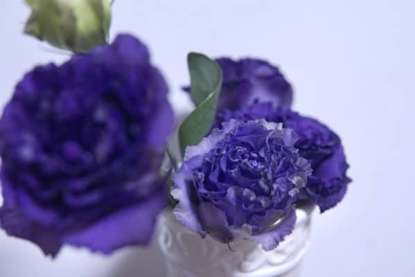 8A0AE4CA 32ED 4C9D A3D5 FD4F8924F352