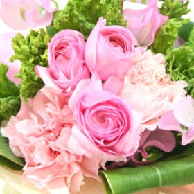 春のお花続々と入荷中です! 1 hina ST2