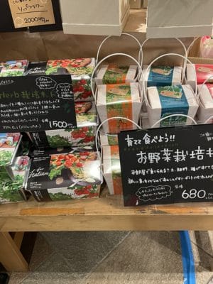 スプリングフラワーフェア、第二弾♪ 4 C3734F72 074A 4531 BF00 0C894D444E40
