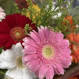 1月31日(愛妻の日)におすすめのお花 4 9B948005 B0D5 400D 888B F31C2B18599B