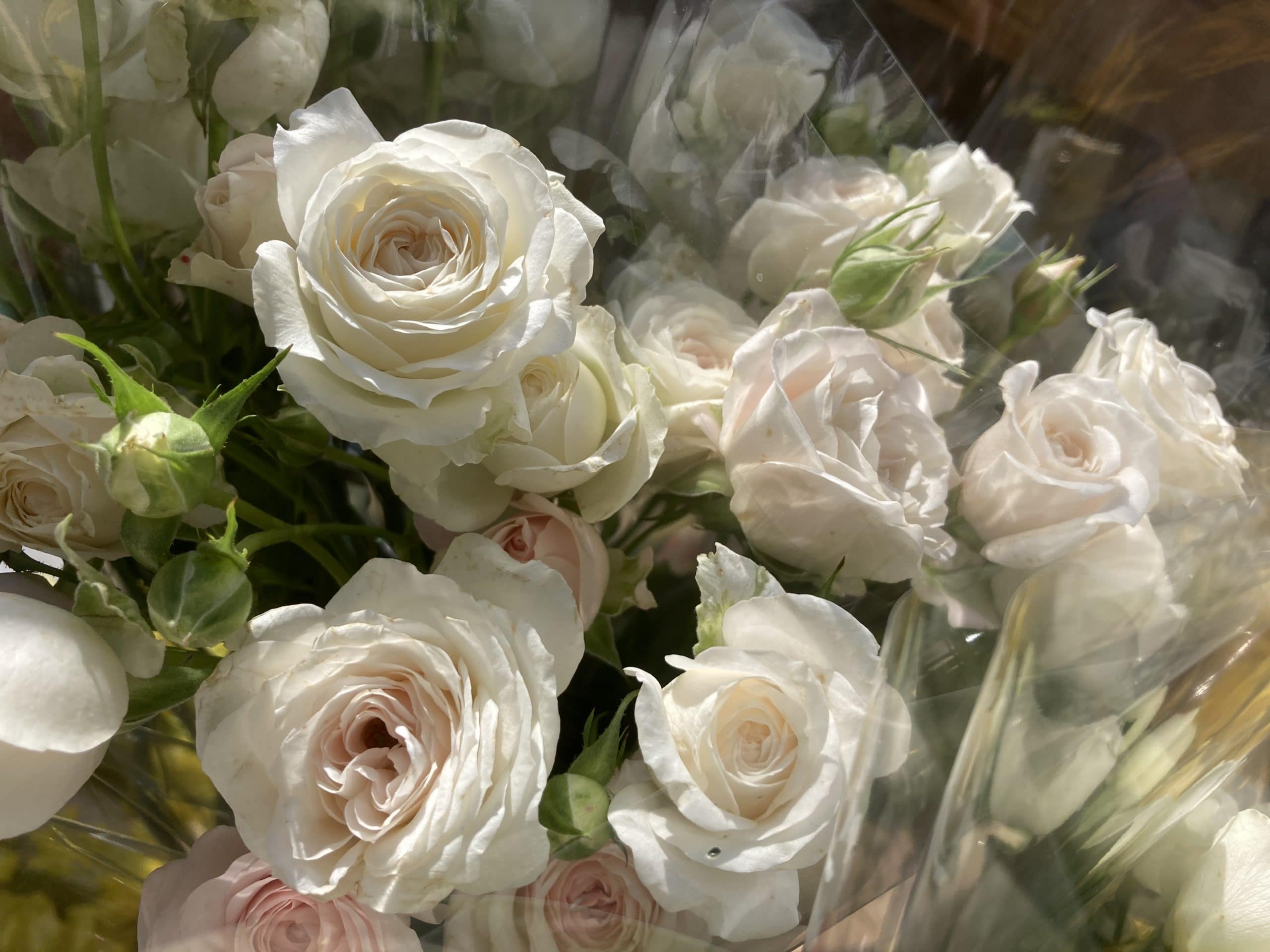 本数指定OK バラの花束 6 本数指定OK バラの花束 - 画像 (6)