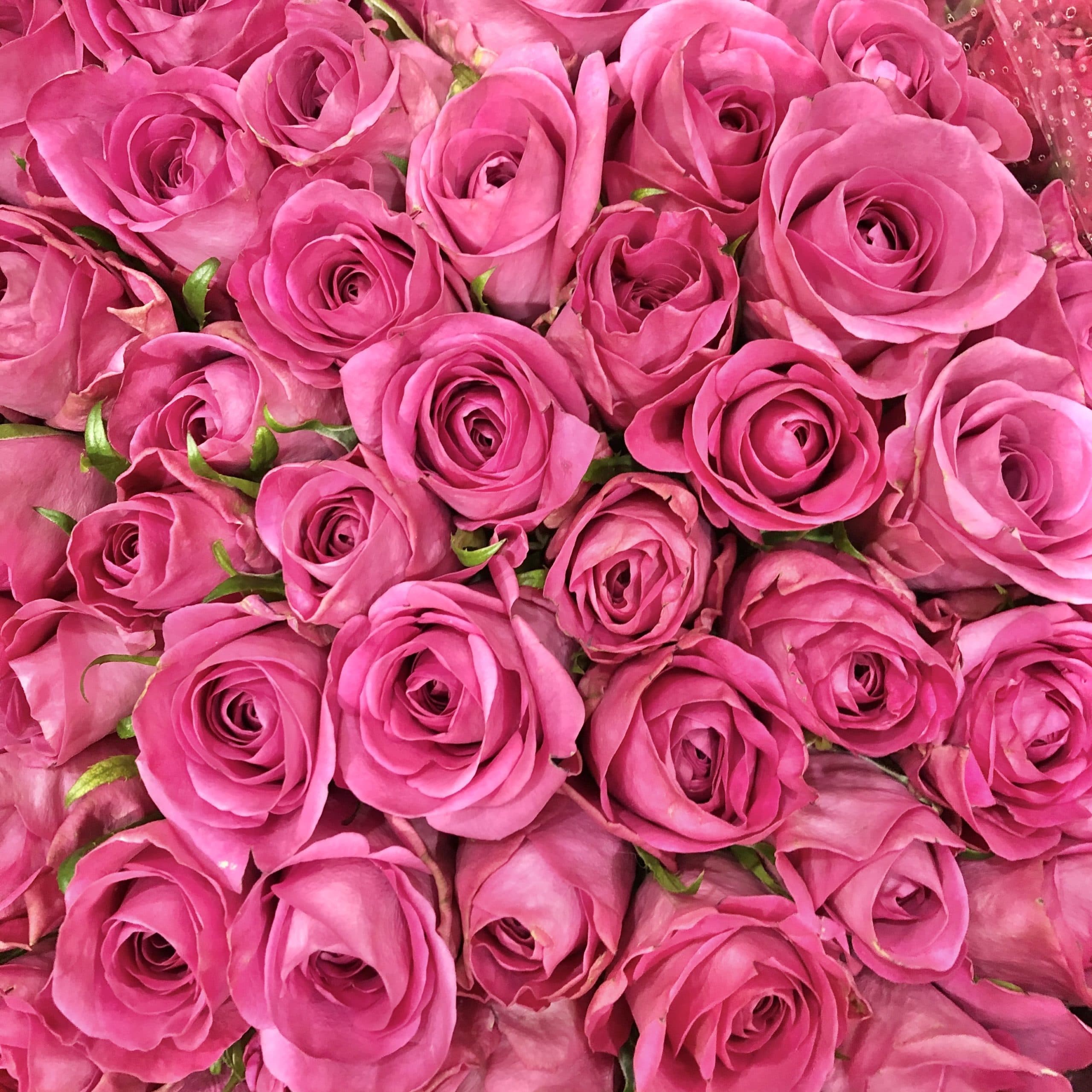 本数指定OK バラの花束 3 本数指定OK バラの花束 - 画像 (3)