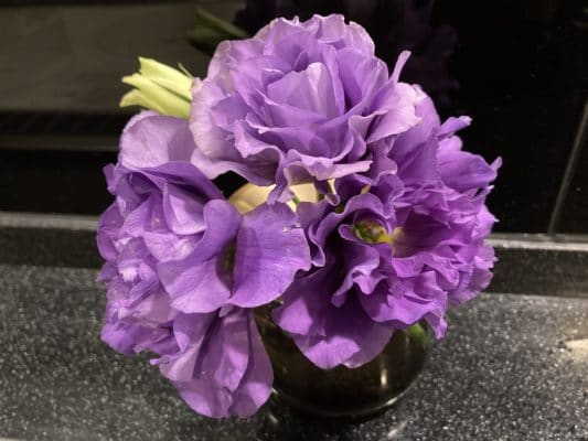 花もち良し、トルコキキョウ 2 EE534DCD 346D 4647 9AFC EA1063B32B60