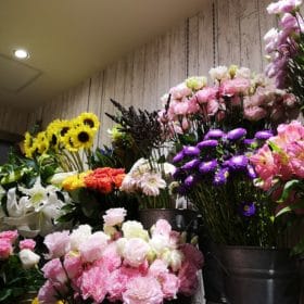 IMG 20210725 202623