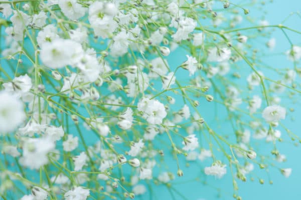 Whiteday2020 09