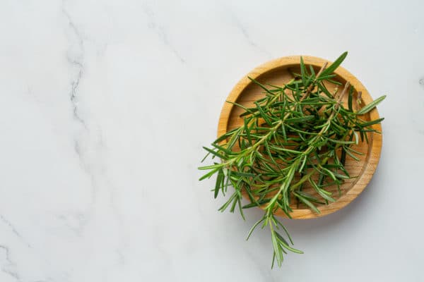 rosemary plants place on white marble floor