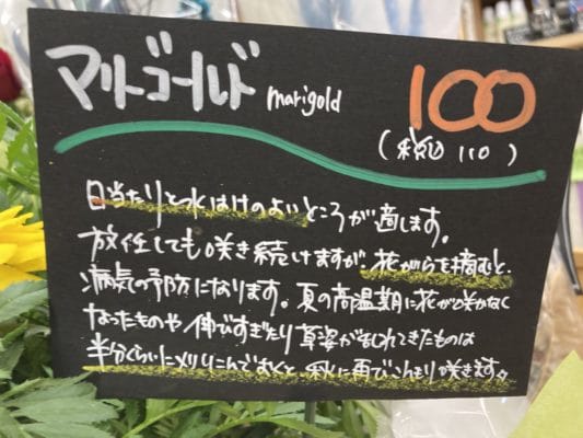 花がら摘みとは 1 FB06F53B 3996 45BC 8803 74DED208A896
