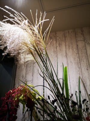 IMG 20210826 191617