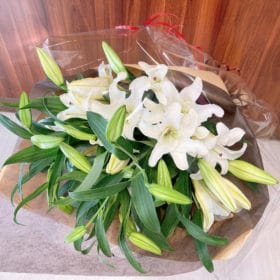 1月31日(愛妻の日)におすすめのお花 3 989D3100 DF76 4A90 8206 874578D0682D