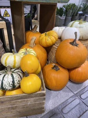パンプキン始まりました🎃 1 F75082F3 28CE 4B21 B27D 4C07962B9C30