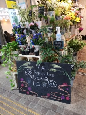 IMG 20210908 131230
