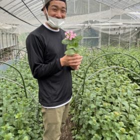 花の産地訪問レポート(伊豆大島編)!「大島産ブバルディア」 9 IMG 2152