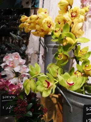 新コーナーが出来ました(*^^*) 5 IMG 20220117 163353