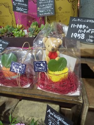 フラワーバレンタイン♥花は自由なラブレター 3 16447460970968269281180071686426