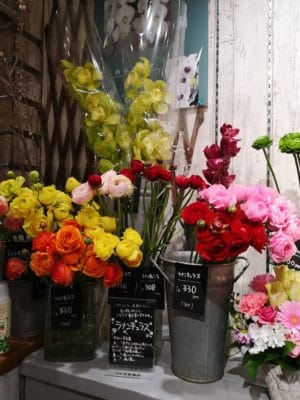 桃の花のご紹介 3 IMG 20220220 192303