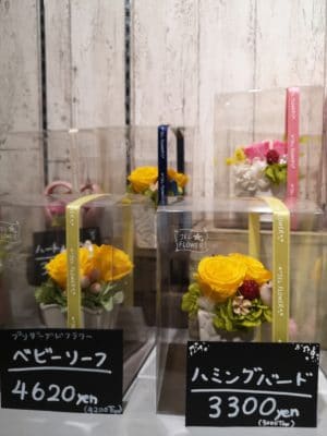 プリザーブドフラワーについて 2 IMG 20220228 140038