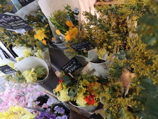 蒲田店の近況とチューリップ🌷.* 2 IMG 20220308 104053