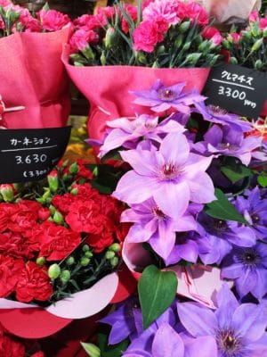 カーネーション 3 IMG 20220430 110321 1