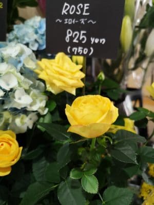 クチナシの季節 3 IMG 20220520 142128