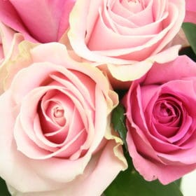 1月31日(愛妻の日)におすすめのお花 1 abc2a2c82418174abb399a2f58e85b08