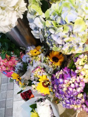 紫陽花と日々草 1 IMG 20220611 102829
