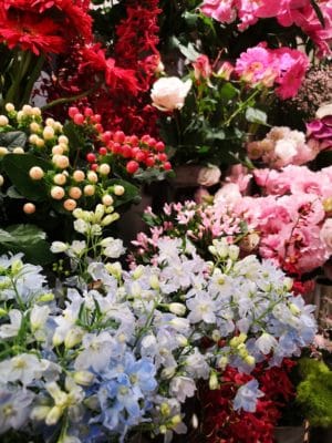 紫陽花と日々草 4 IMG 20220611 130514