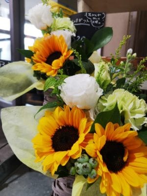 ひまわり🌻 2 IMG 20220618 100907